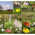 unterwegs- in den Frühling