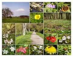 unterwegs- in den Frühling