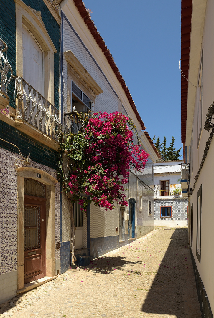 Unterwegs in den Gassen von Tavira.