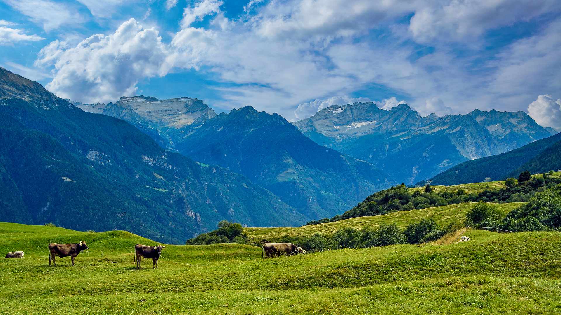 Unterwegs in den Tessiner Alpen 14