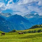 Unterwegs in den Tessiner Alpen 14