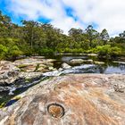 Unterwegs in den (Ur-)Wäldern Südwestaustraliens