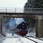 Unterwegs in den Vogtländischen Wäldern