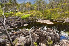 Unterwegs in den Wäldern Südwestaustraliens