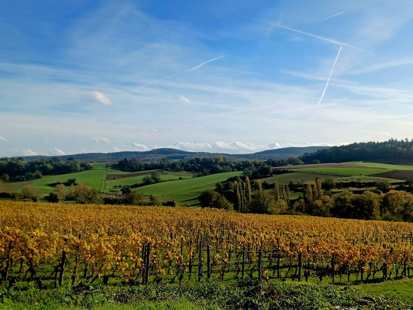 Unterwegs in den Weinbergen