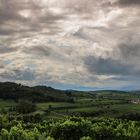 Unterwegs in den Weinbergen