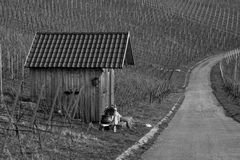unterwegs in den Weinbergen - die sonnigen Tage geniessen