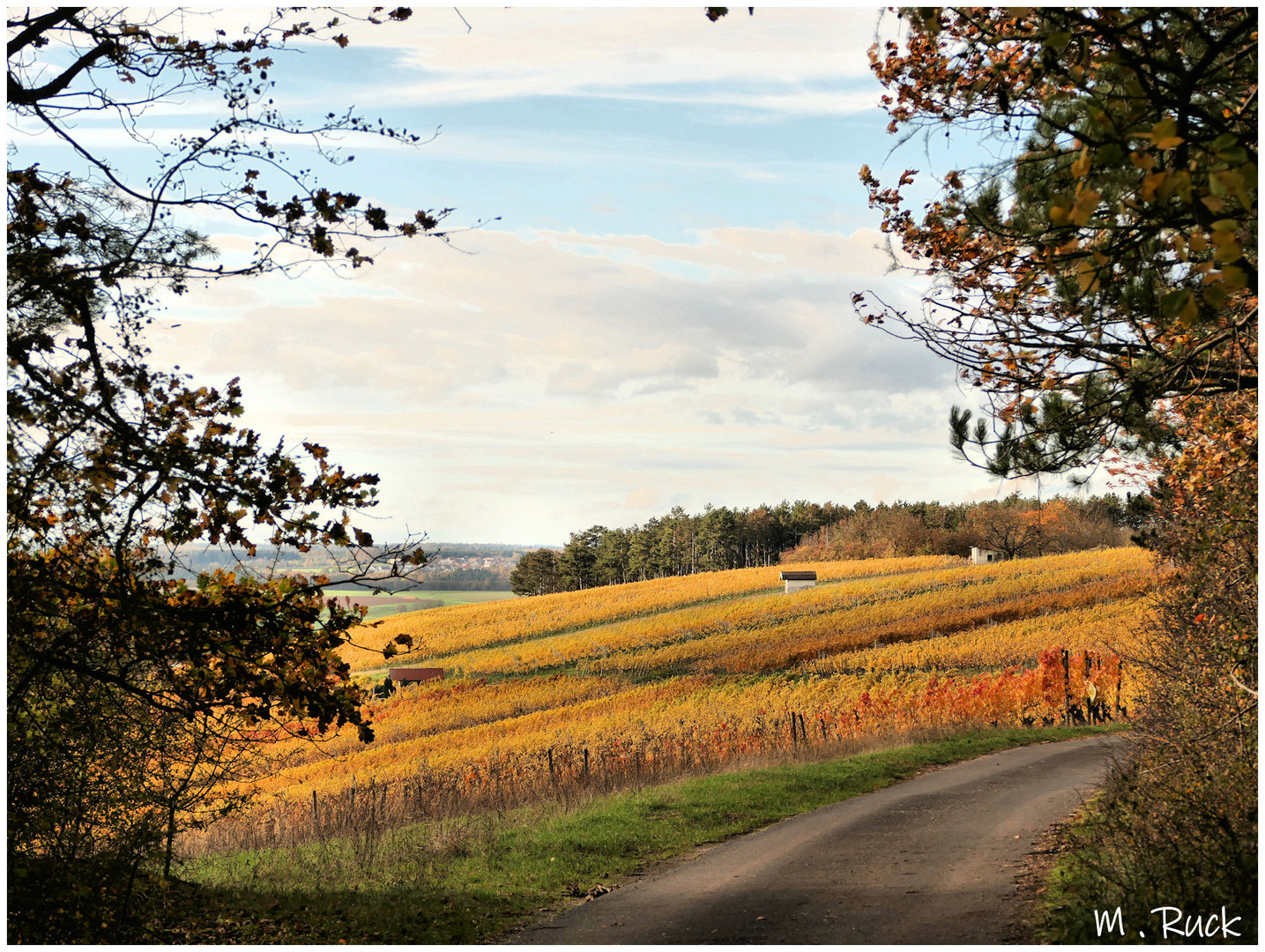 Unterwegs in den Weinbergen ,