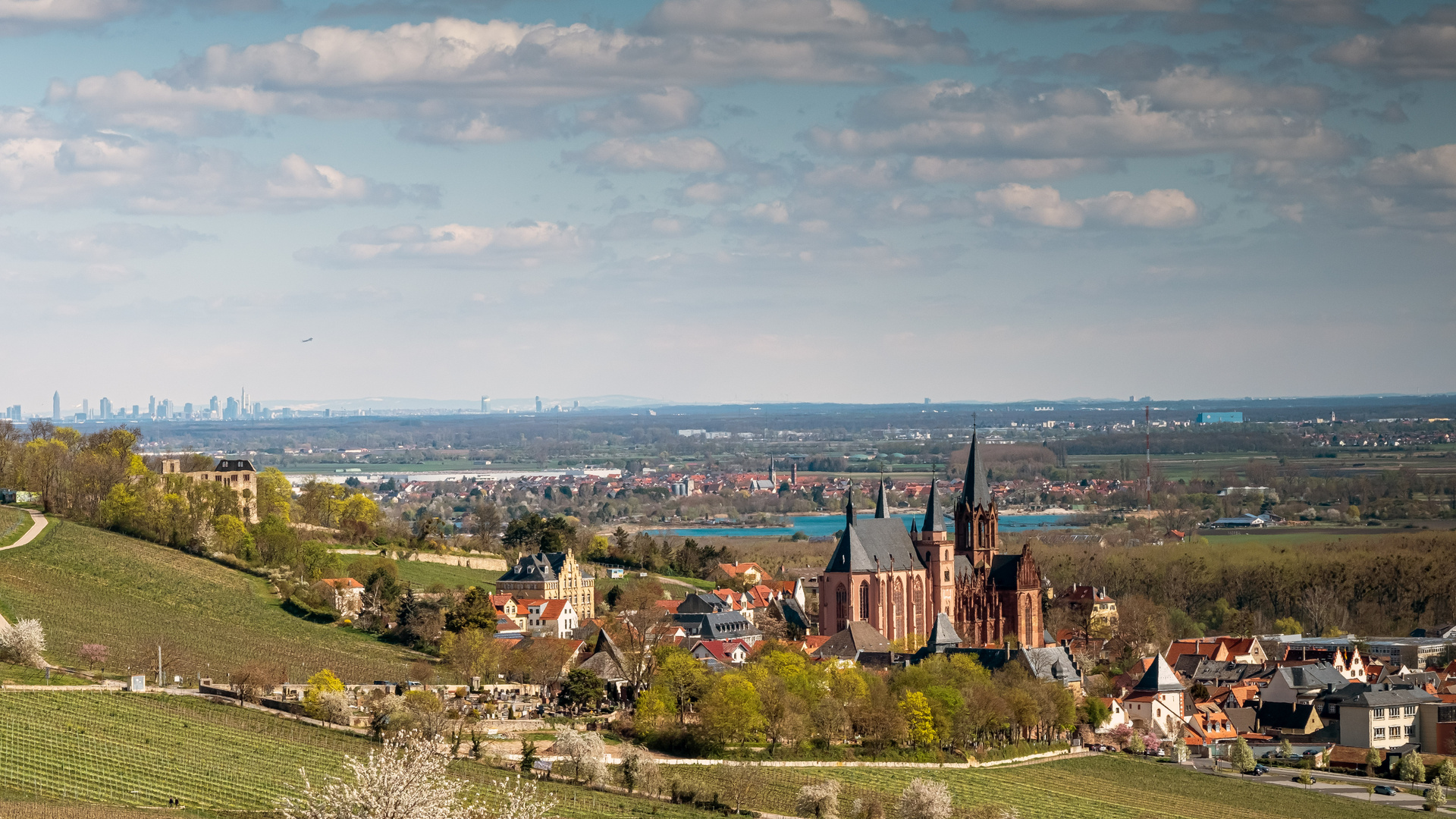 Unterwegs in den Weinbergen von Oppenheim