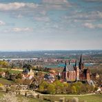 Unterwegs in den Weinbergen von Oppenheim