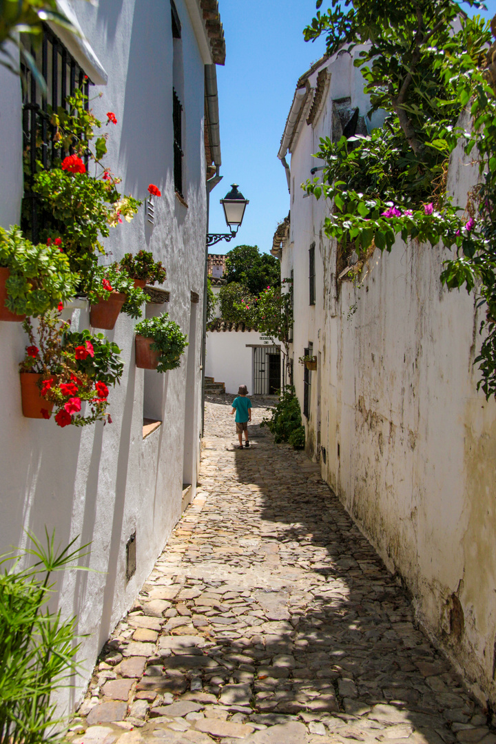 unterwegs in den weißen Dörfern - Castellar de la Frontera (4) 