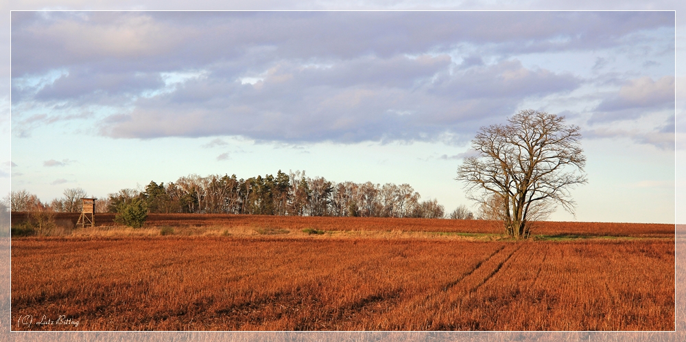 Unterwegs in der Dübener Heide