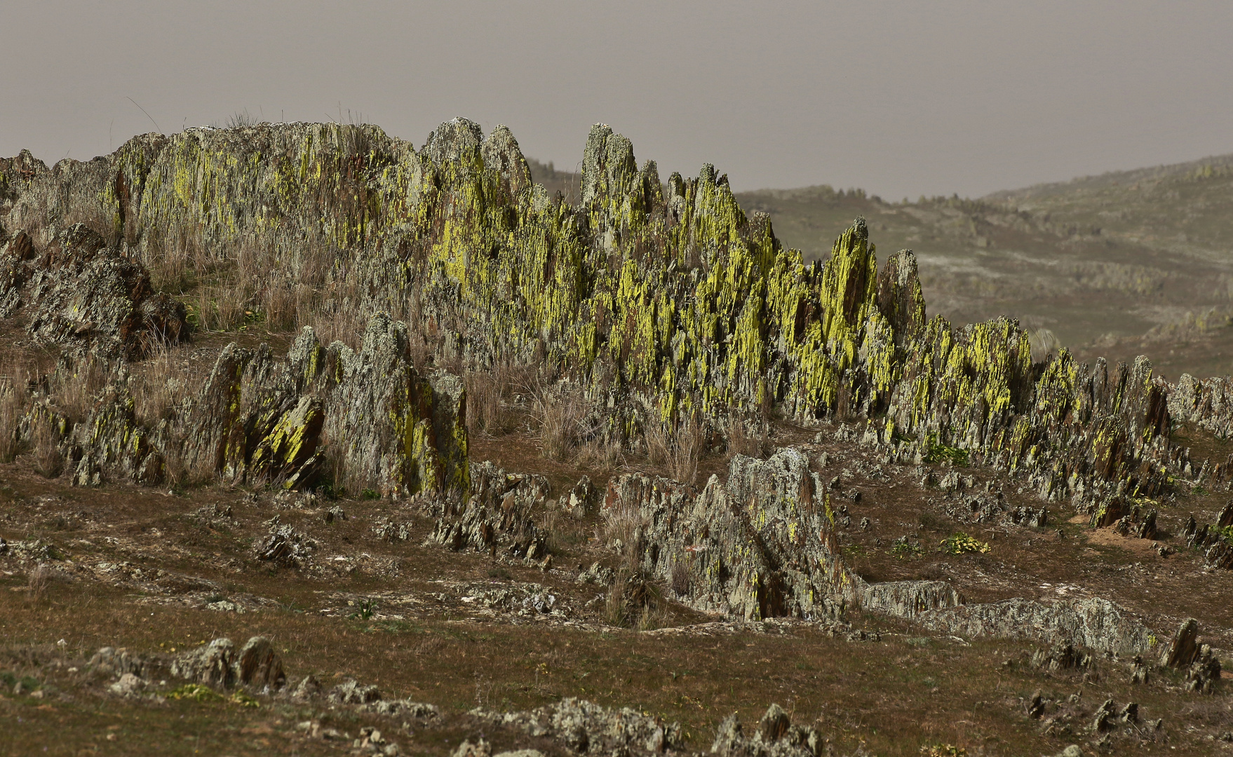 Unterwegs in der Extremadura