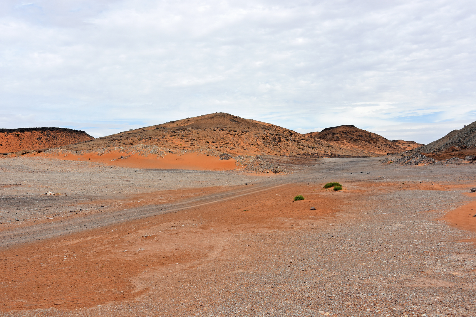 Unterwegs in der Hammada bei Tafraout Hassi Fougani