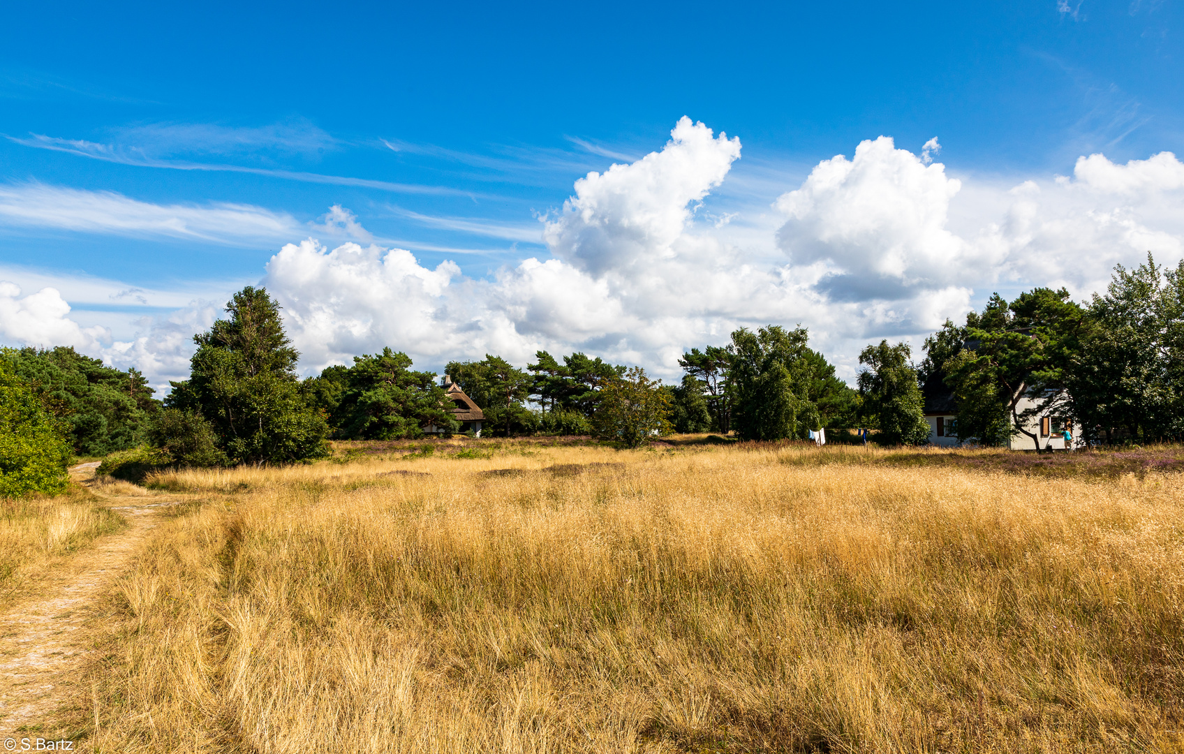 Unterwegs in der Heide (2)