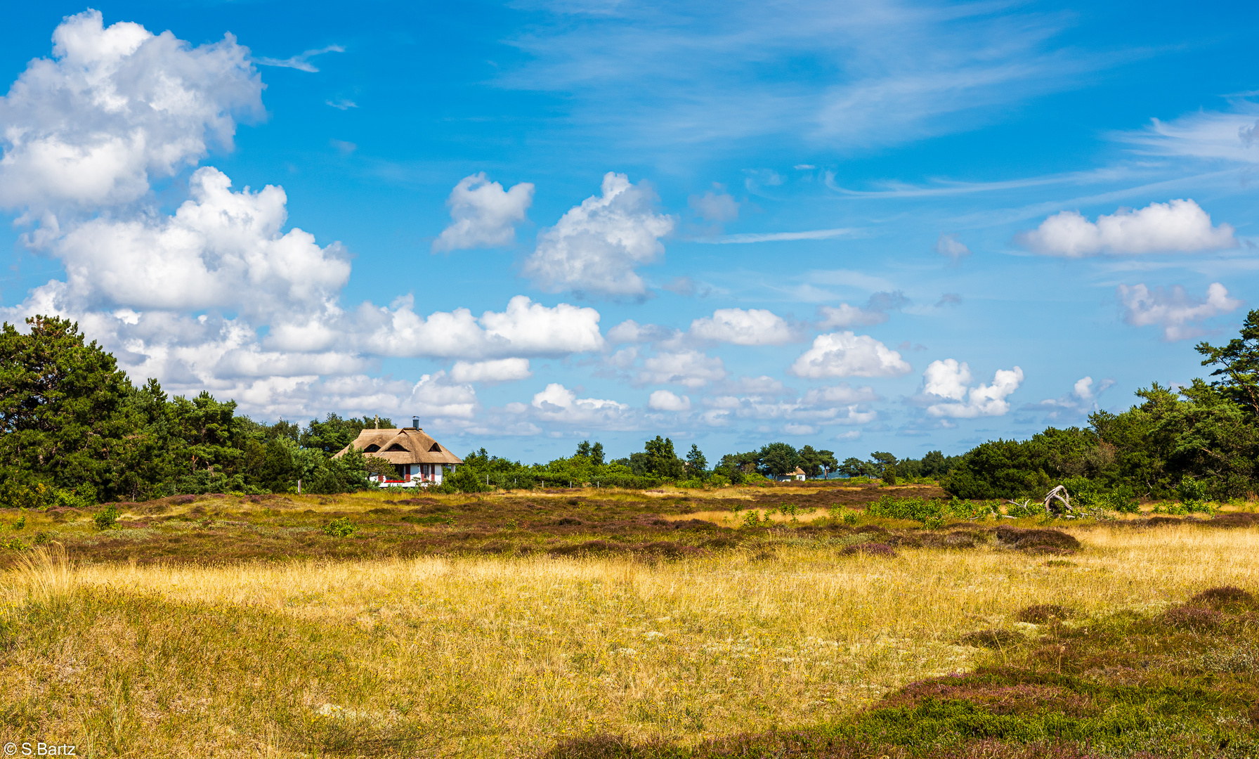 Unterwegs in der Heide (3)