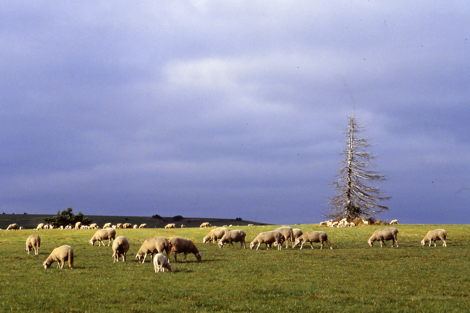 Unterwegs in der Hochrhön 2