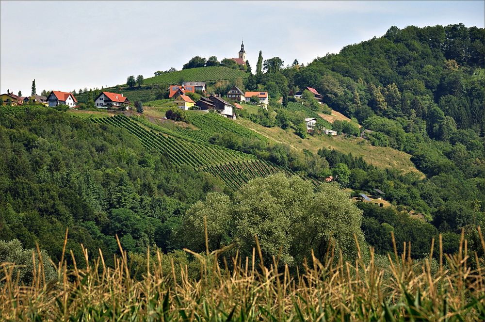 unterwegs in der Hügellandschaft