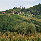 unterwegs in der Hügellandschaft