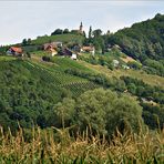 unterwegs in der Hügellandschaft