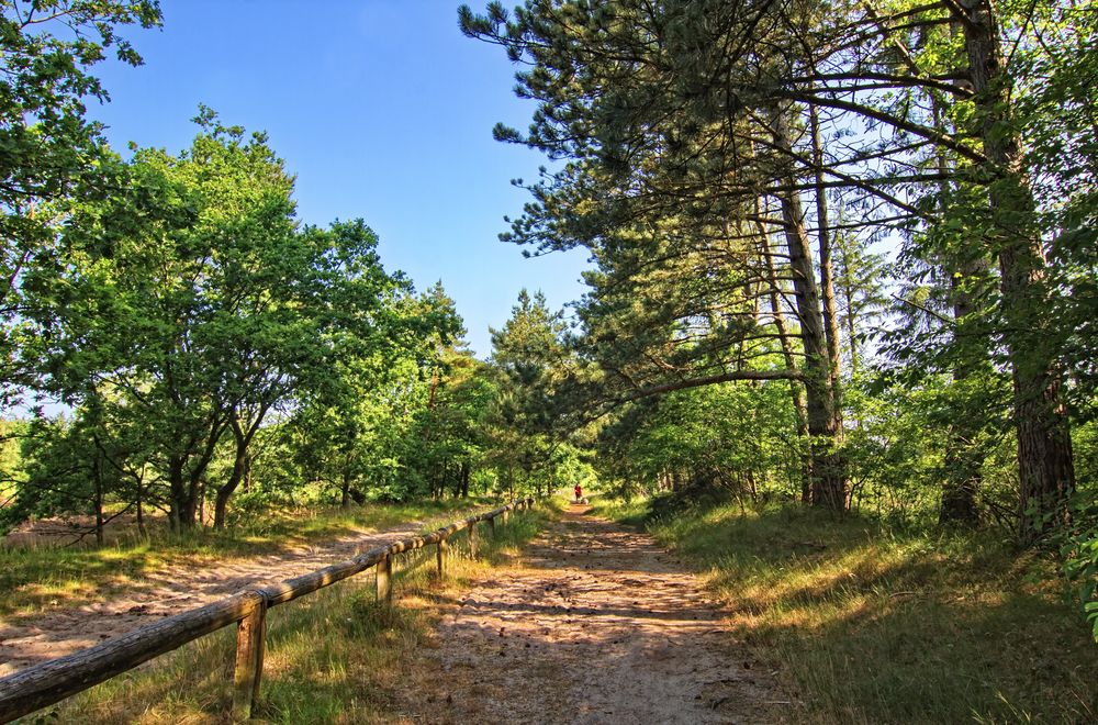 Unterwegs in der Küstenheide 