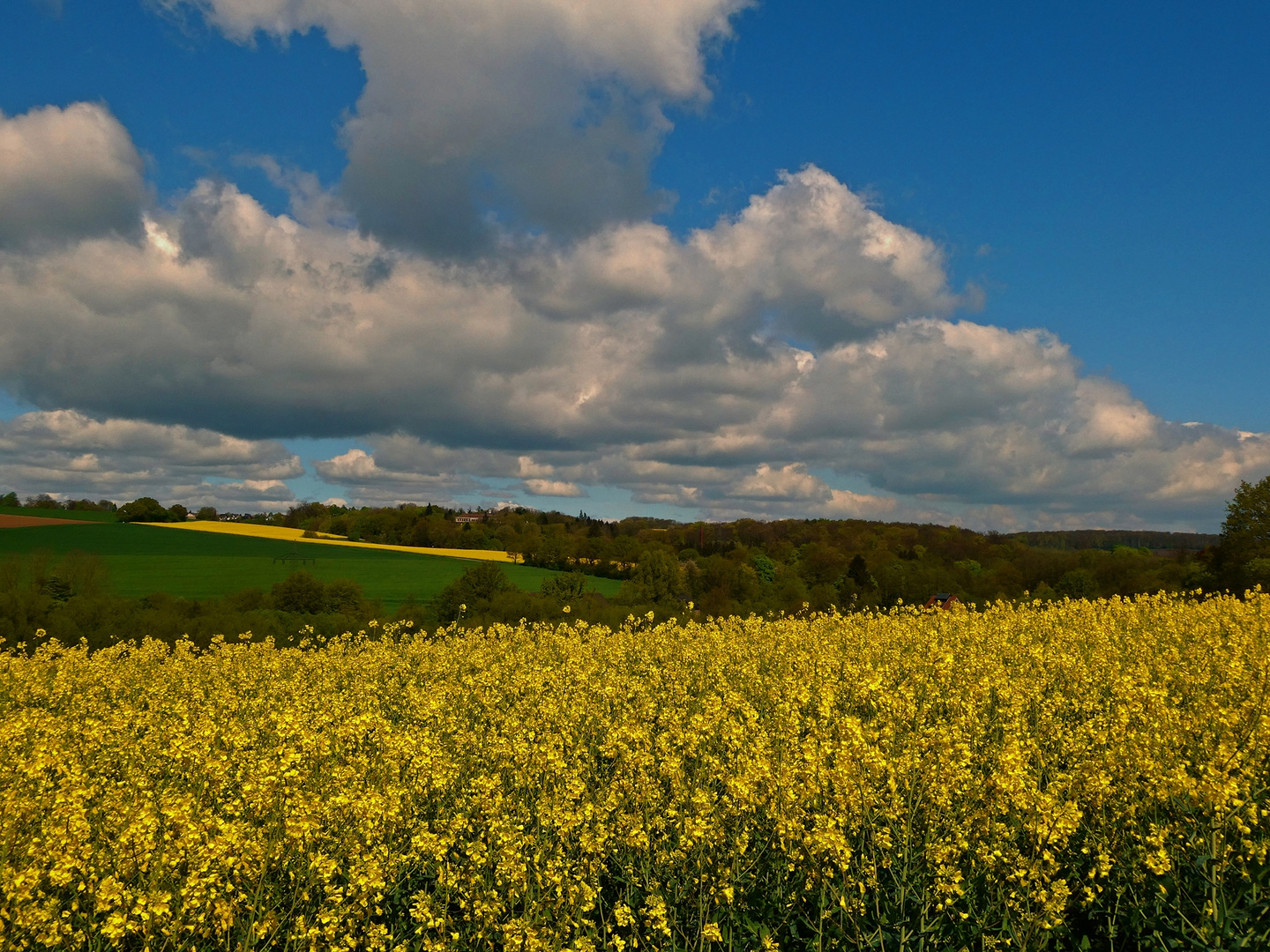 Unterwegs in der Nähe von Aprath