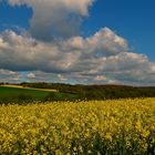 Unterwegs in der Nähe von Aprath