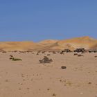 unterwegs in der Namib