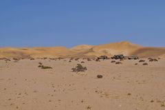 unterwegs in der Namib