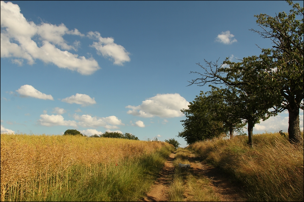 - Unterwegs in der Natur -