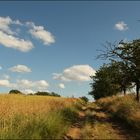 - Unterwegs in der Natur -