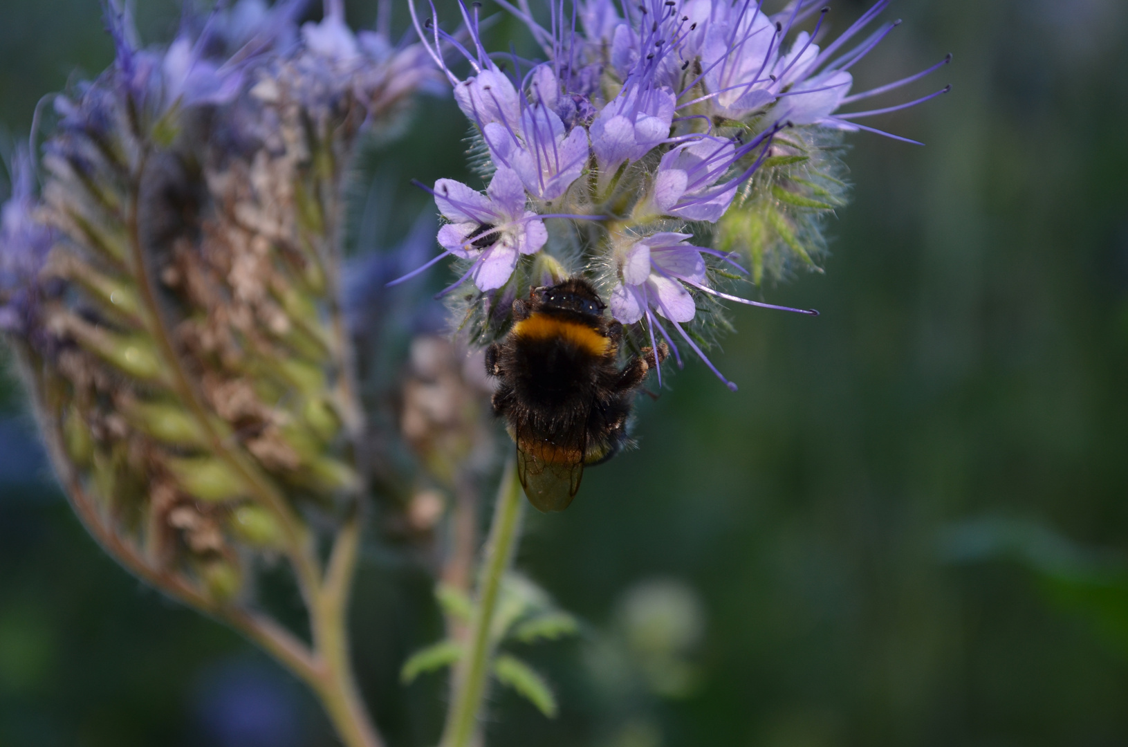 Unterwegs in der Natur 2