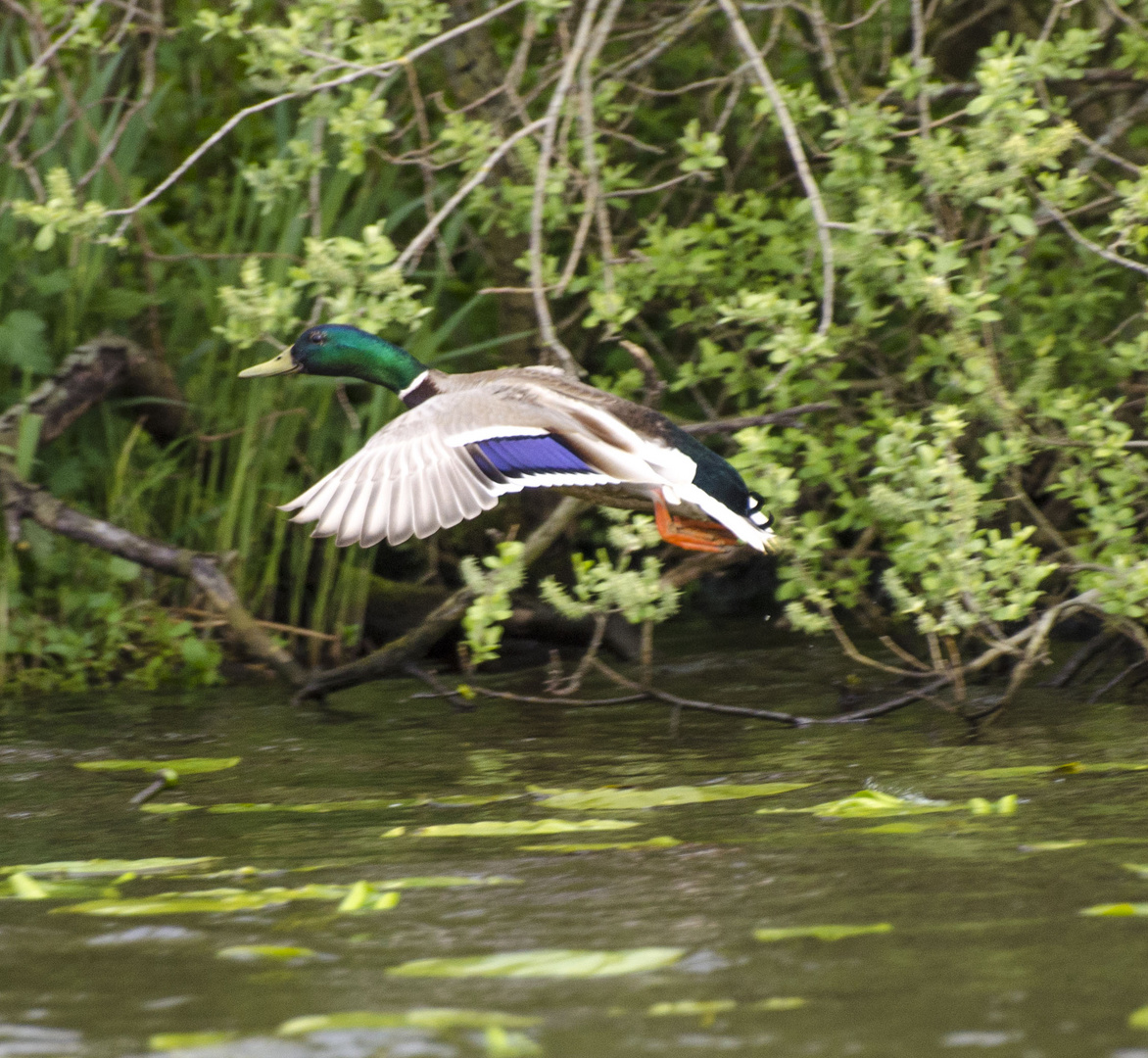 Unterwegs in der Natur