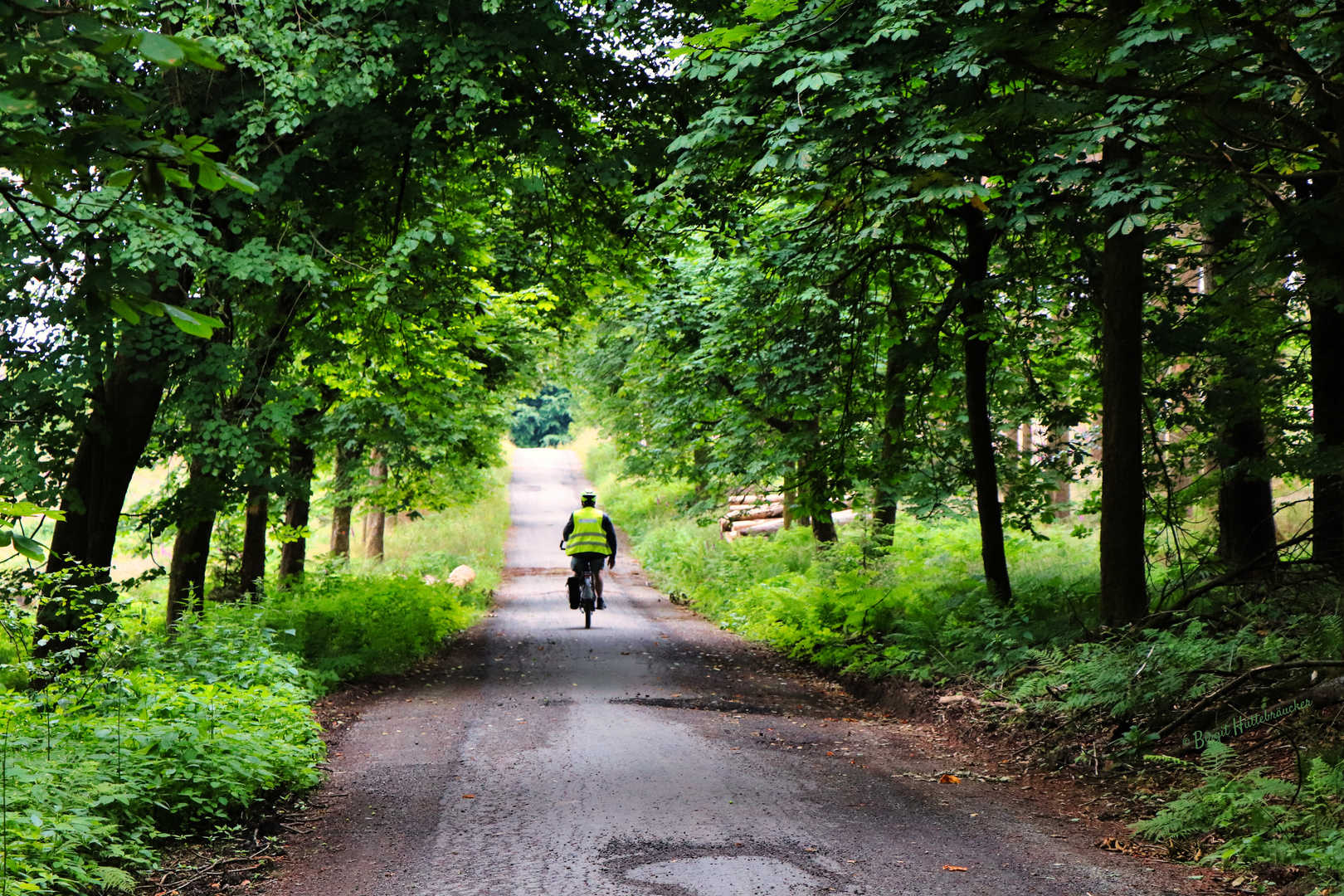 Unterwegs in der Natur