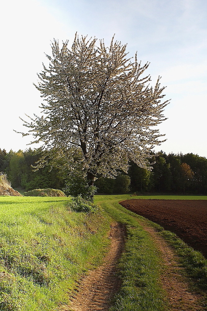 unterwegs in der Natur