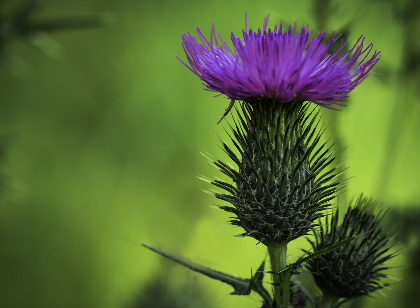 Unterwegs in der Natur