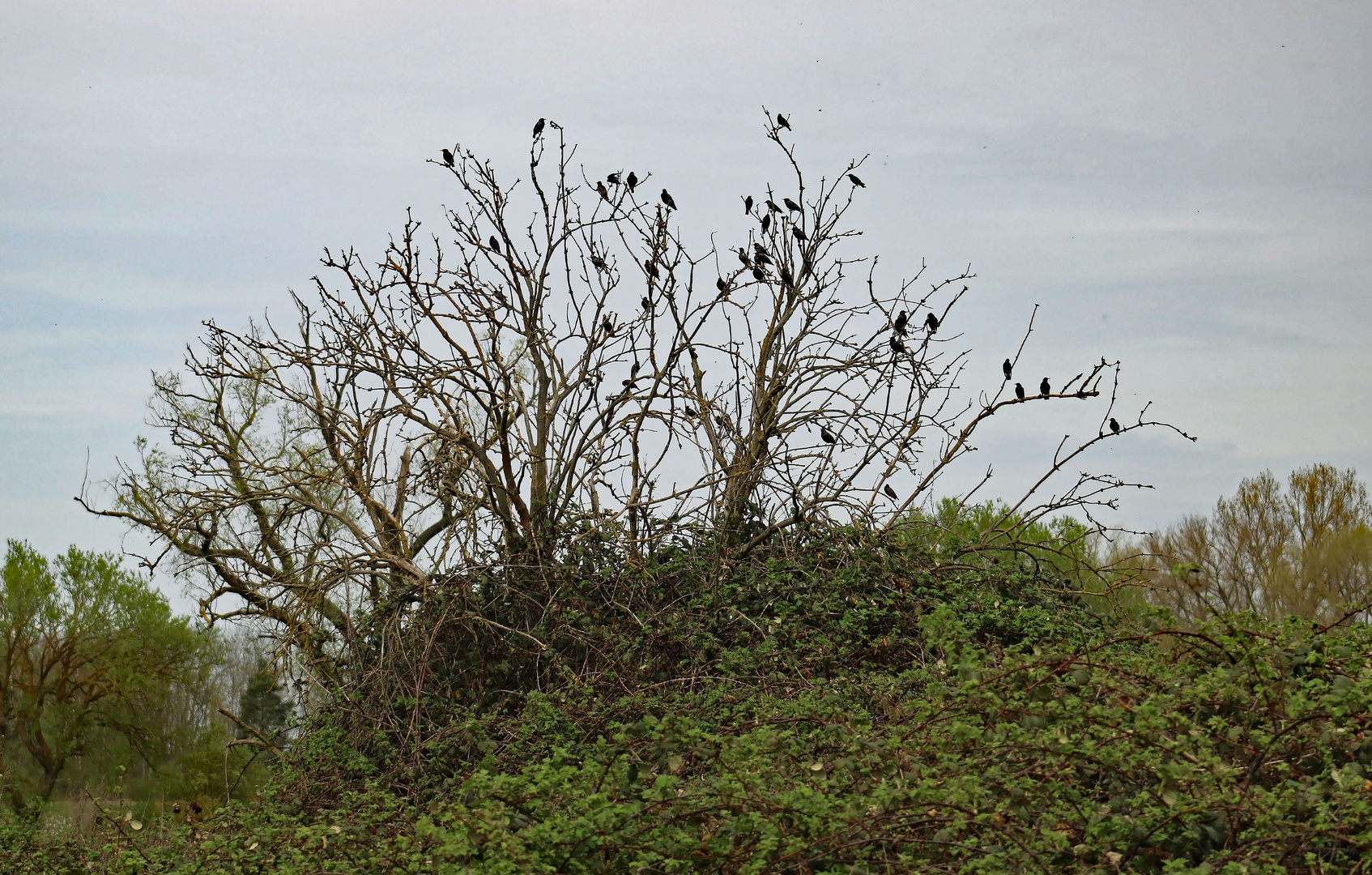 Unterwegs in der Natur