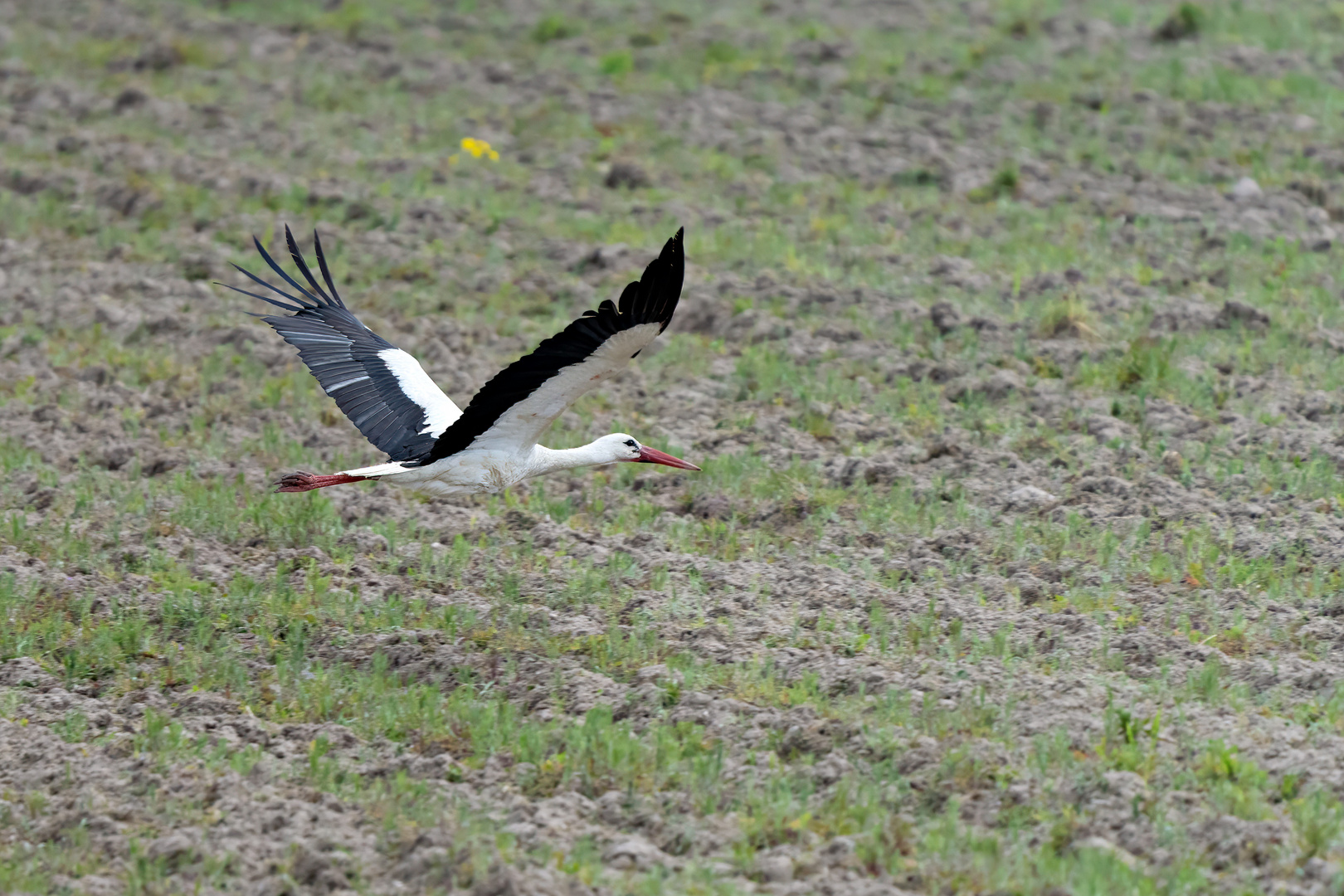 Unterwegs in der Natur