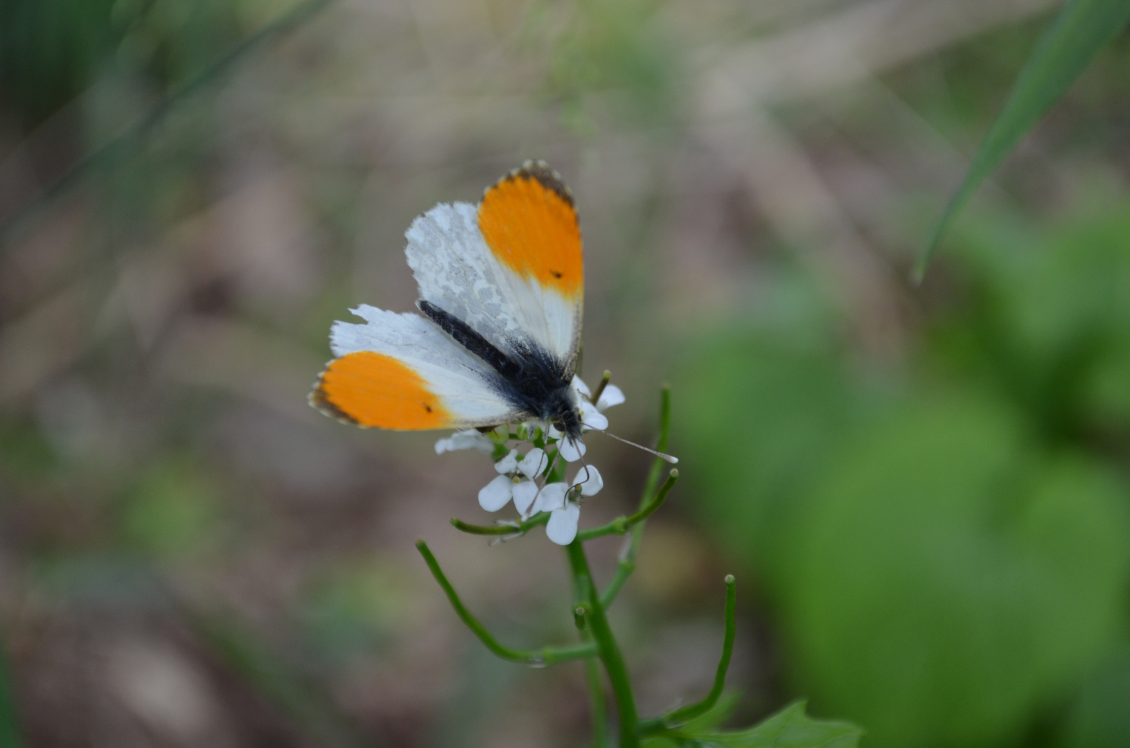 Unterwegs in der Natur