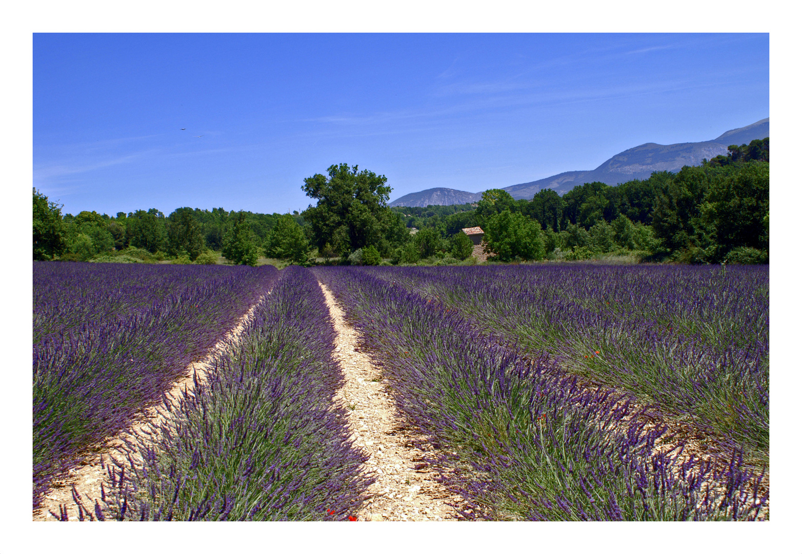 Unterwegs in der Provence