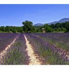 Unterwegs in der Provence