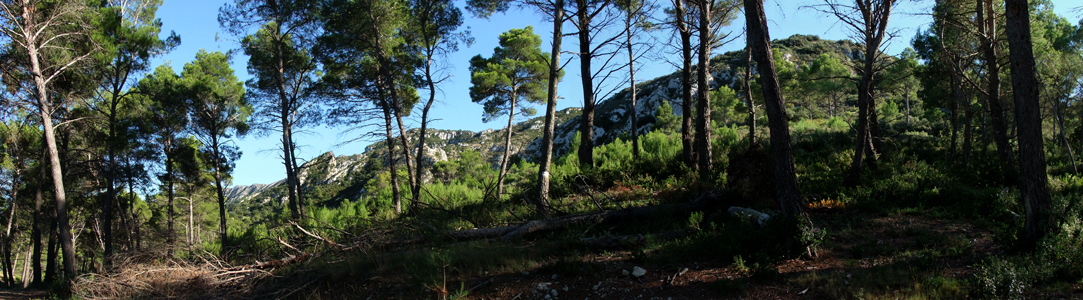 unterwegs in der provence bei st.remy