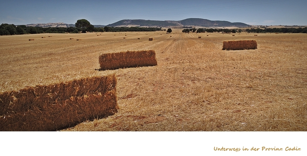 Unterwegs in der Provinz Cadiz