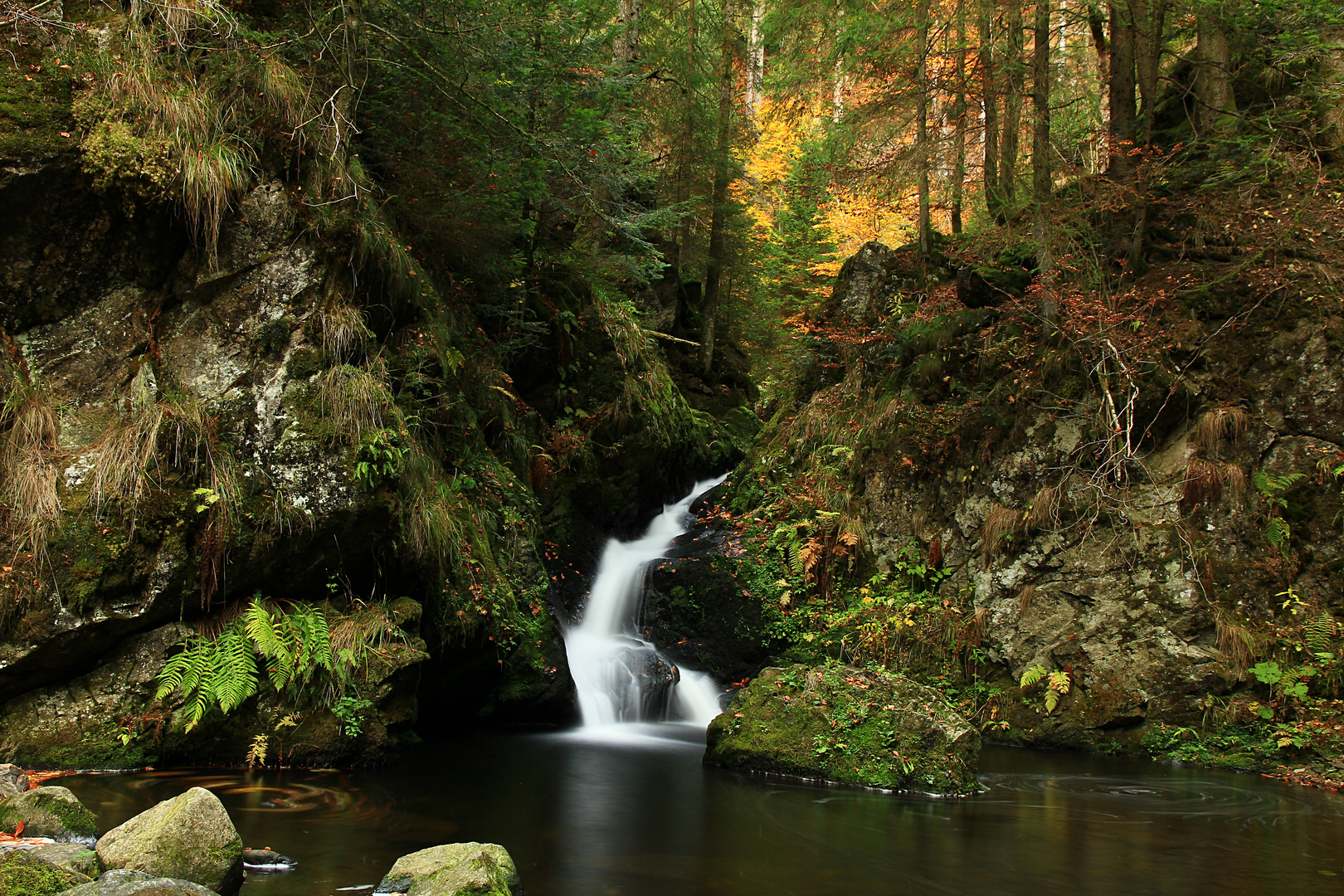 Unterwegs in der Ravenna Schlucht 2