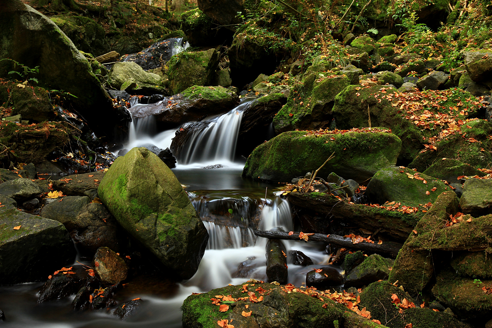 Unterwegs in der Ravenna Schlucht