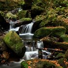 Unterwegs in der Ravenna Schlucht