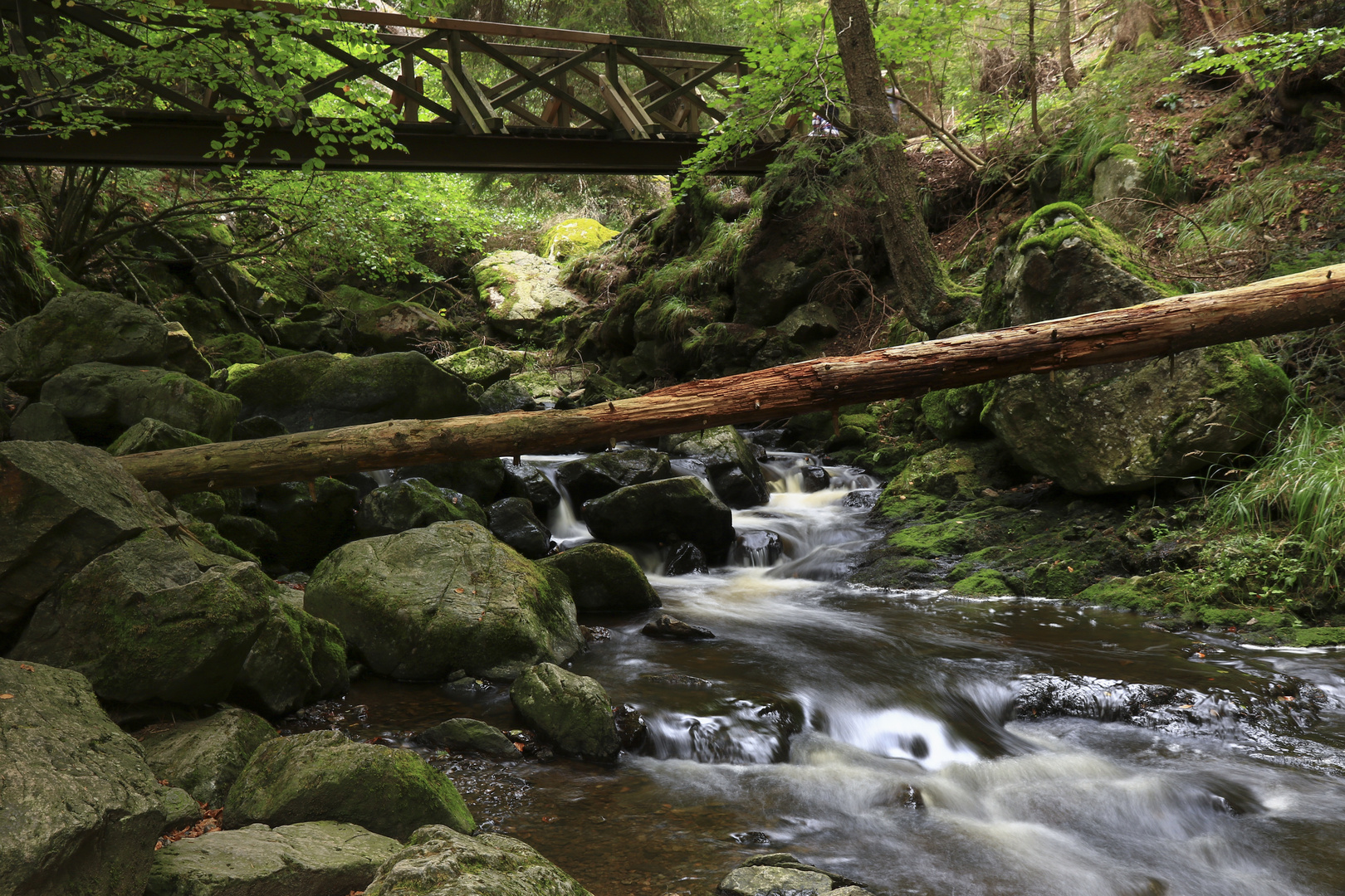 Unterwegs in der Ravenna Schlucht 