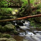 Unterwegs in der Ravenna Schlucht 