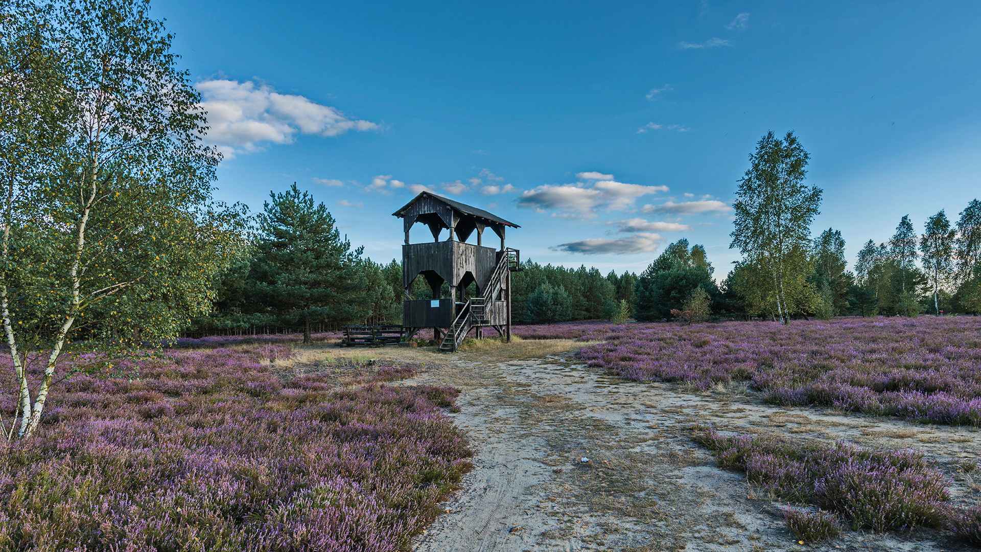 unterwegs in der Reicherskreuzer Heide   (1)