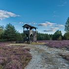 unterwegs in der Reicherskreuzer Heide   (1)